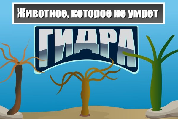 Блэк спрут ссылка на сайт оригинал