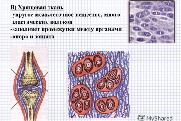 Рабочие зеркала блэкспрут тор